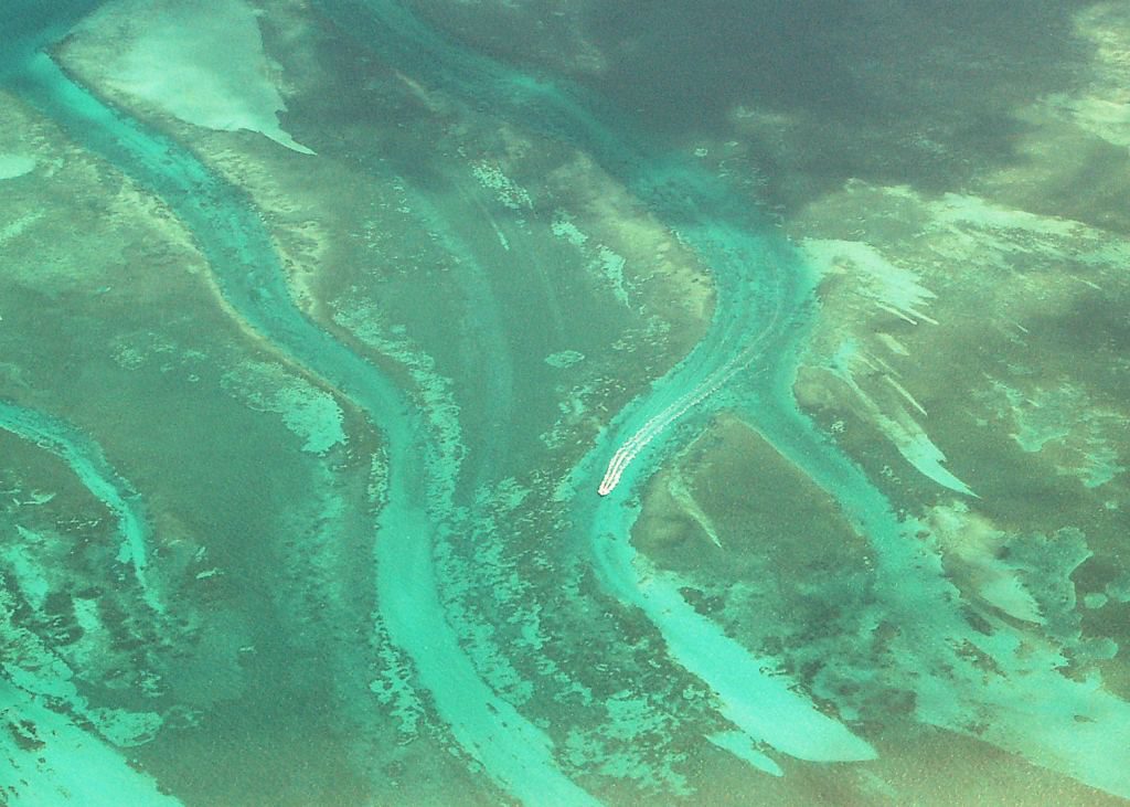 Everglades_-_Jim_Crocker.jpg#asset:514