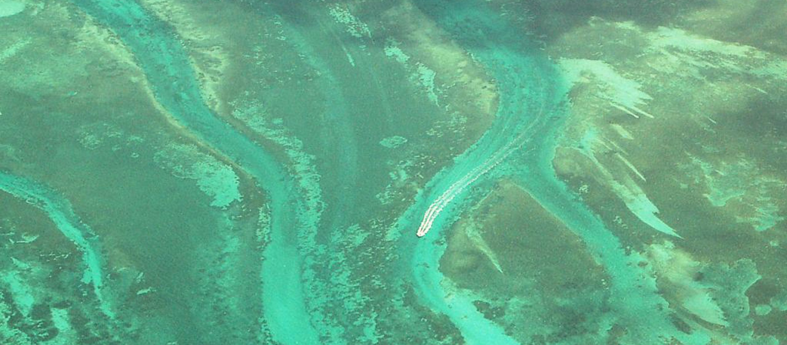 Everglades - Jim Crocker