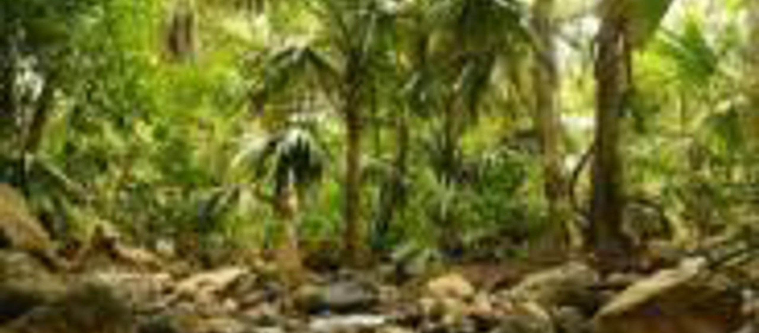 Venezuela-adventure-holidays