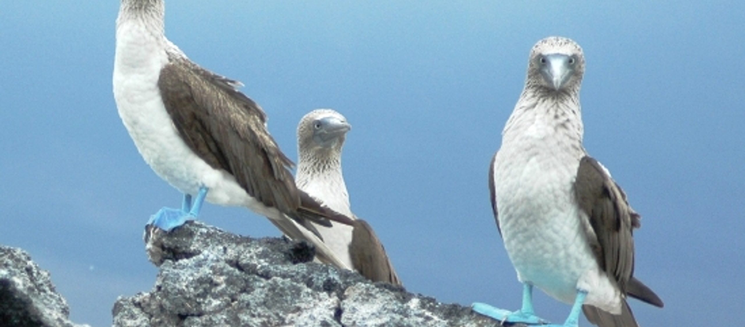 iStock 000001325649Small