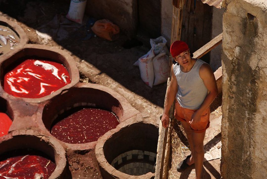 98514026 cd Gdf IFQ Pbase PL