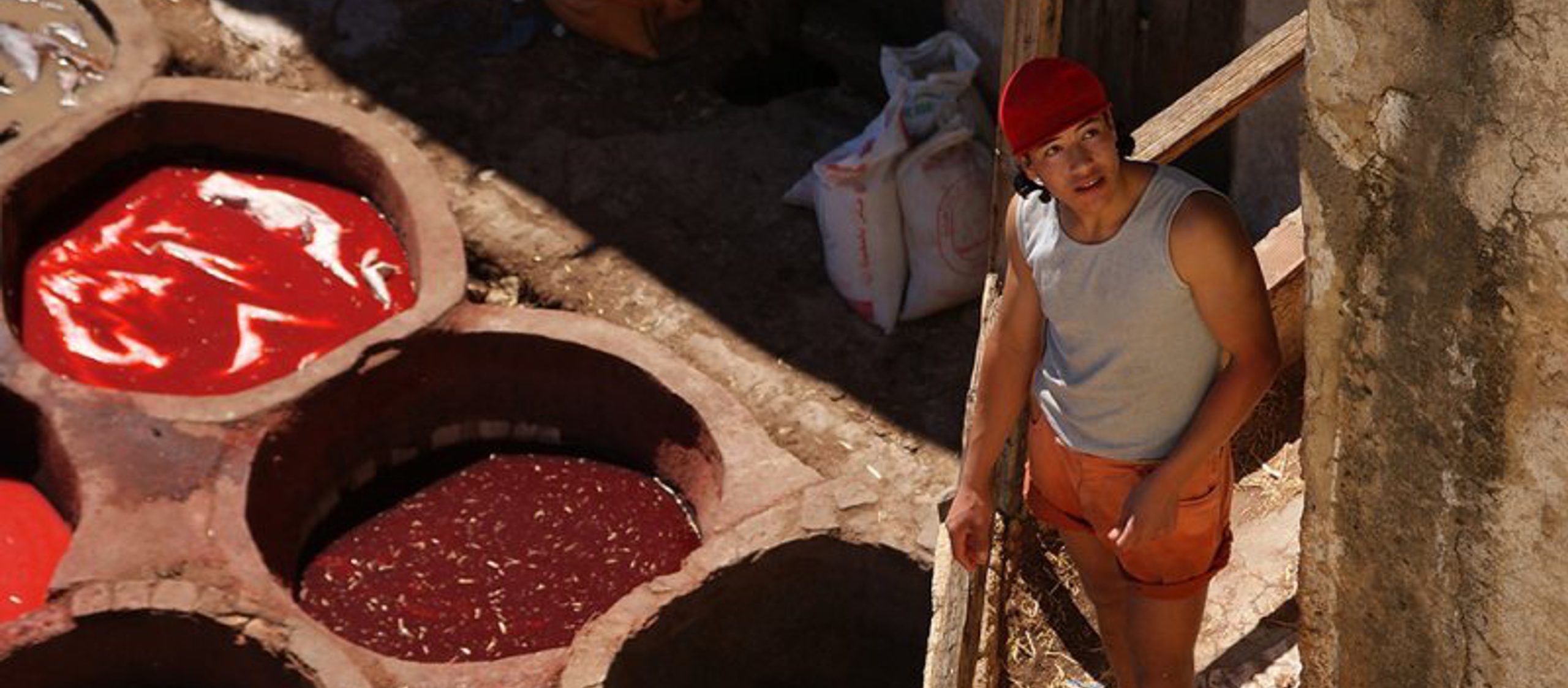 98514026 cd Gdf IFQ Pbase PL