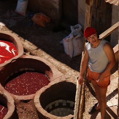 98514026 cd Gdf IFQ Pbase PL