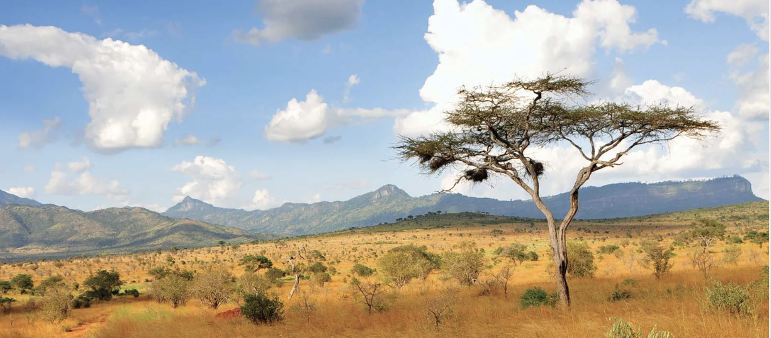 Screenshot 2024 09 25 at 17 00 47