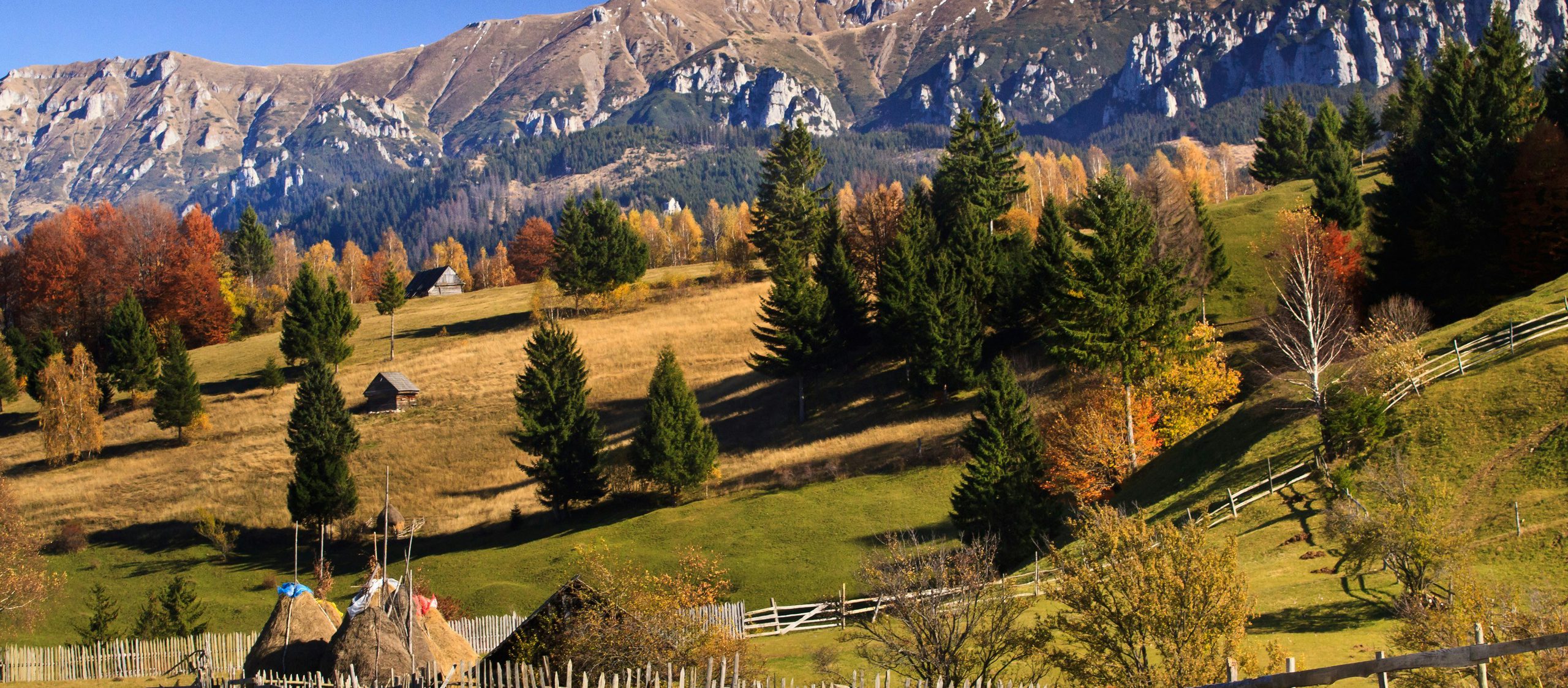 Calin stan A J9 Q Hncku E unsplash