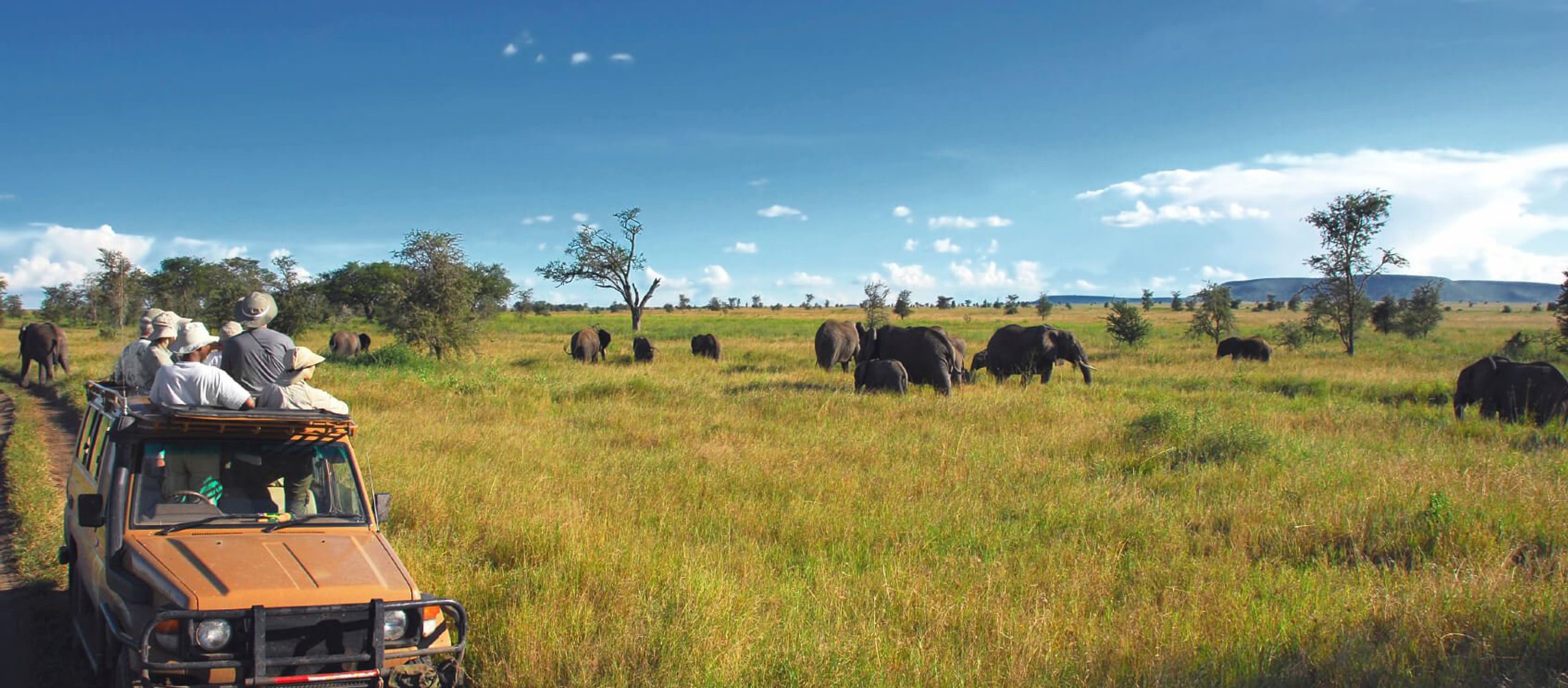 I Stock 000004161624 Medium Safari In Serengeti Compressed