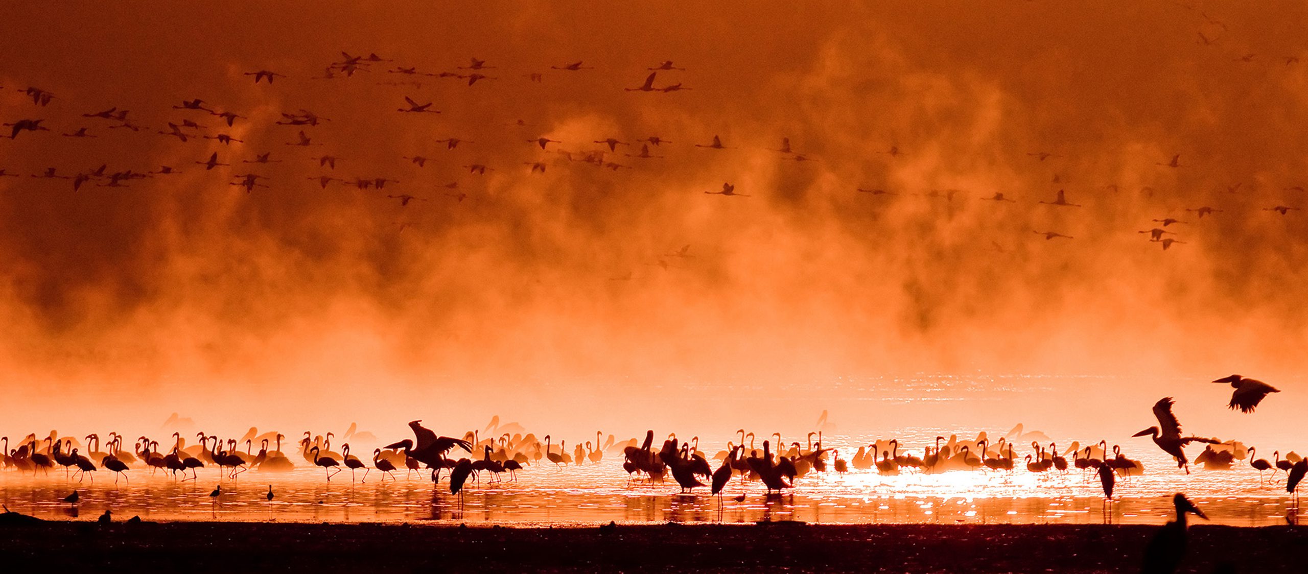 safari Kenya lake nakuru