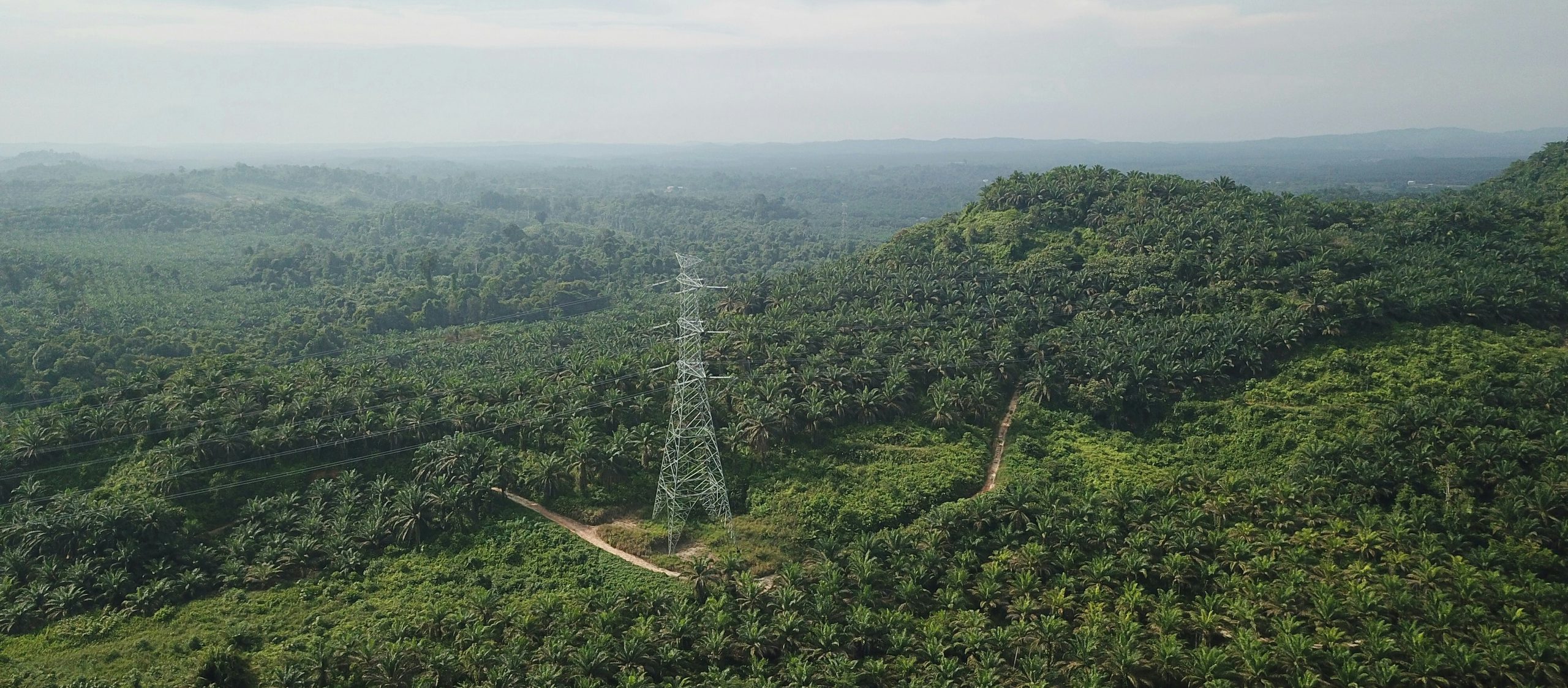 James lo q P4k2 L Cj6 Do unsplash