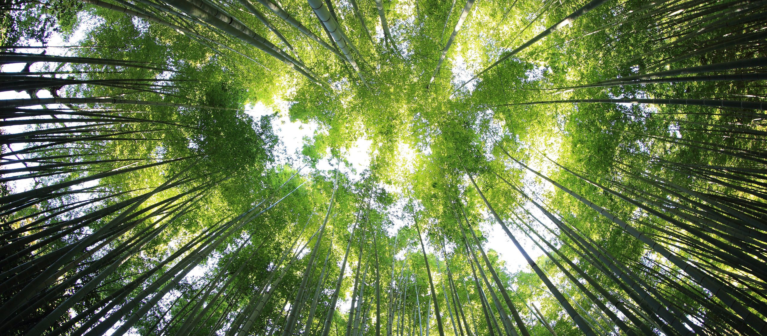 Kazuend 30877 Unsplash