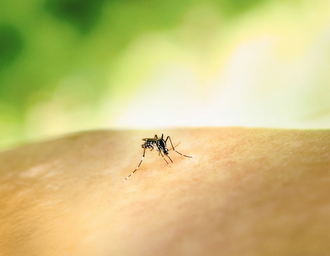 National institute of allergy and infectious diseases e OR3 TOE9 Jw0 unsplash