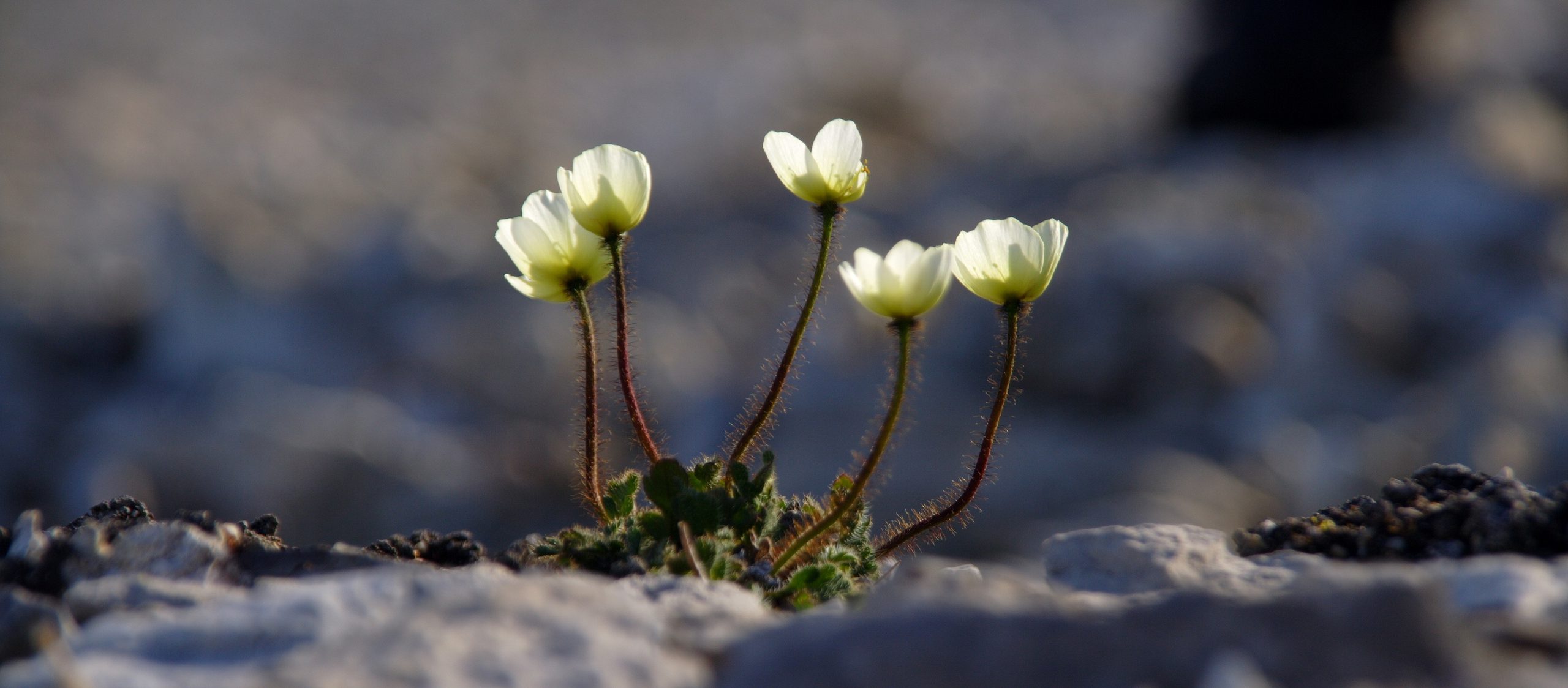 shutterstock 1717362