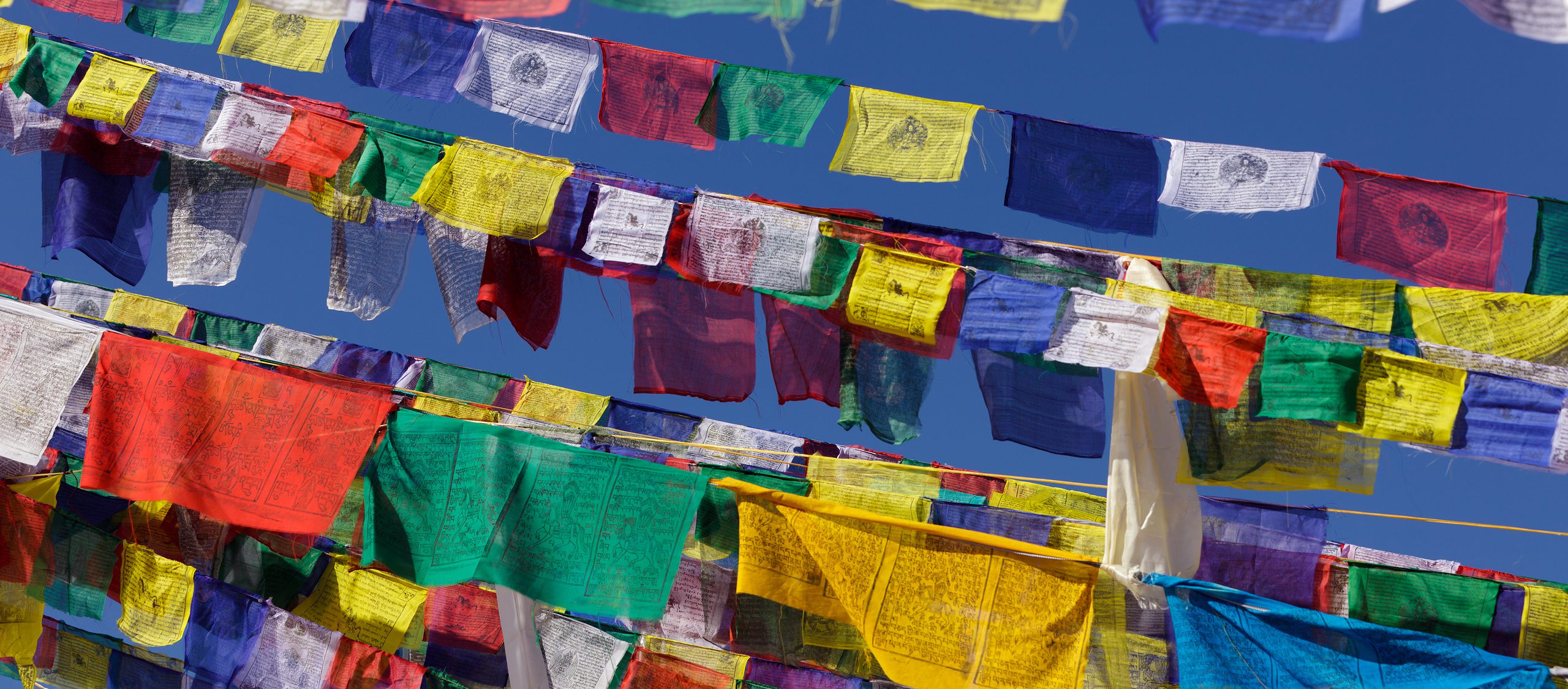 Shutterstock 67179715